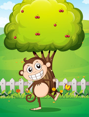 Wall Mural - A smiling monkey at the yard in front of the tree with cherries