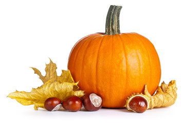 pumpkin