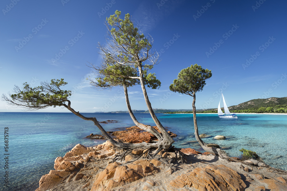 Photo Art Print Plage De Palombaggia Corse France