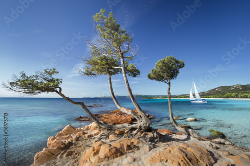 Obraz w ramie Plage de palombaggia Corse France