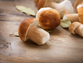 Fototapete - Mushroom Boletus over Wooden Background. Autumn Cep Mushrooms