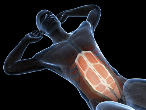 3d rendered illustration of a man doing sit-ups