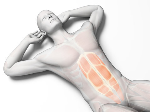 3d rendered illustration of a man doing sit-ups