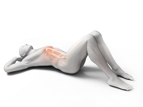 3d rendered illustration of a man doing sit-ups