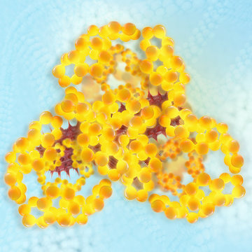 Fat cells - 3D Rendering