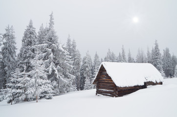 Wall Mural - Hut in the Woods