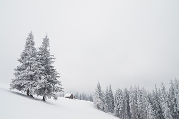 Sticker - House hunters in the mountains