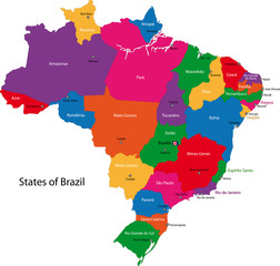 Wall Mural - Brazil map