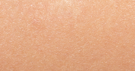 background of the human skin. macro