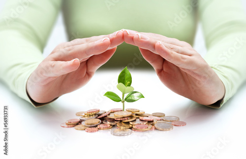 Fotografie, Obraz protect new business start-up - with hands and plant