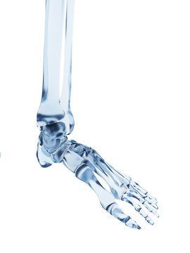 3d rendered illustration of a glass skeleton