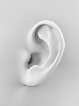 3d rendered illustration of a human ear