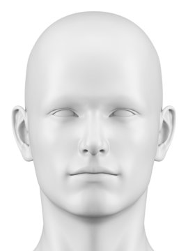 3d rendered illustration of a male head