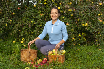 Wall Mural - mature woman in apple garden