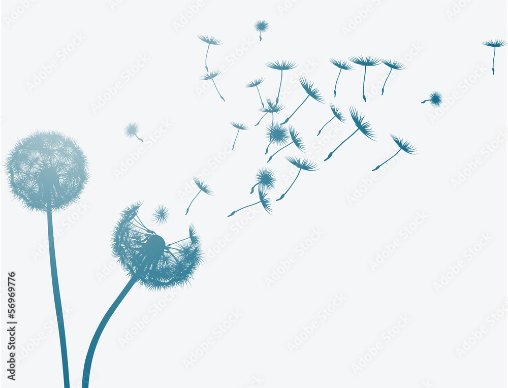 Dandelion in the wind. Vector background. - obrazy, fototapety, plakaty 