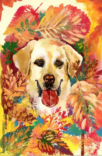 Naklejka nad blat kuchenny Autumn dog. hand drawn illustration