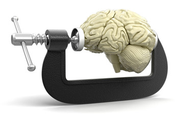 Poster - Brain in clamp (clipping path included)