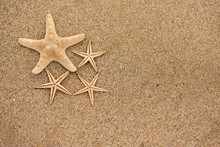 Starfish On Sand Close Up