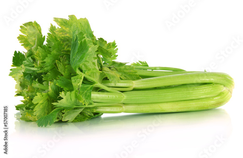 A bounce of Celery. Fresh green celery isolated on white