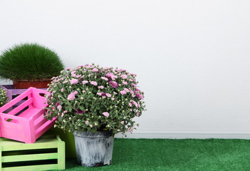 Flowers in pots with boxes on grass on grey background