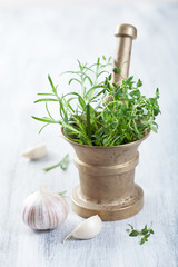 Canvas Print - mortar with fresh herbs and spices