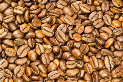 Fotografie, Obraz Fine selected roasted coffee beans background