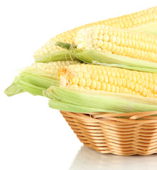 Wall Mural - Fresh corn vegetable in basket isolated on white