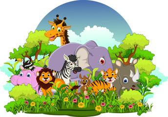 vector illustration of cute animal wildlife cartoon