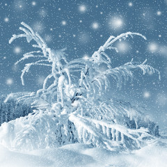 Wall Mural - Winter scenery, snowstorm