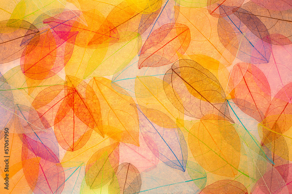 Abstract autumn background Stock Photo | Adobe Stock