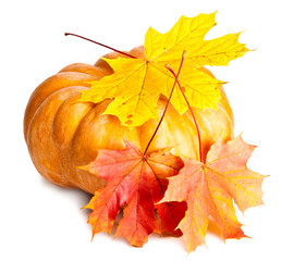 pumpkin and maple leaves on white background