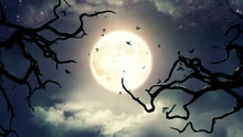 Flying Bats In The Light Of Spooky Moon - LOOP