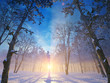 Winterlandschaft am Abend - sun dawn in winter forrest