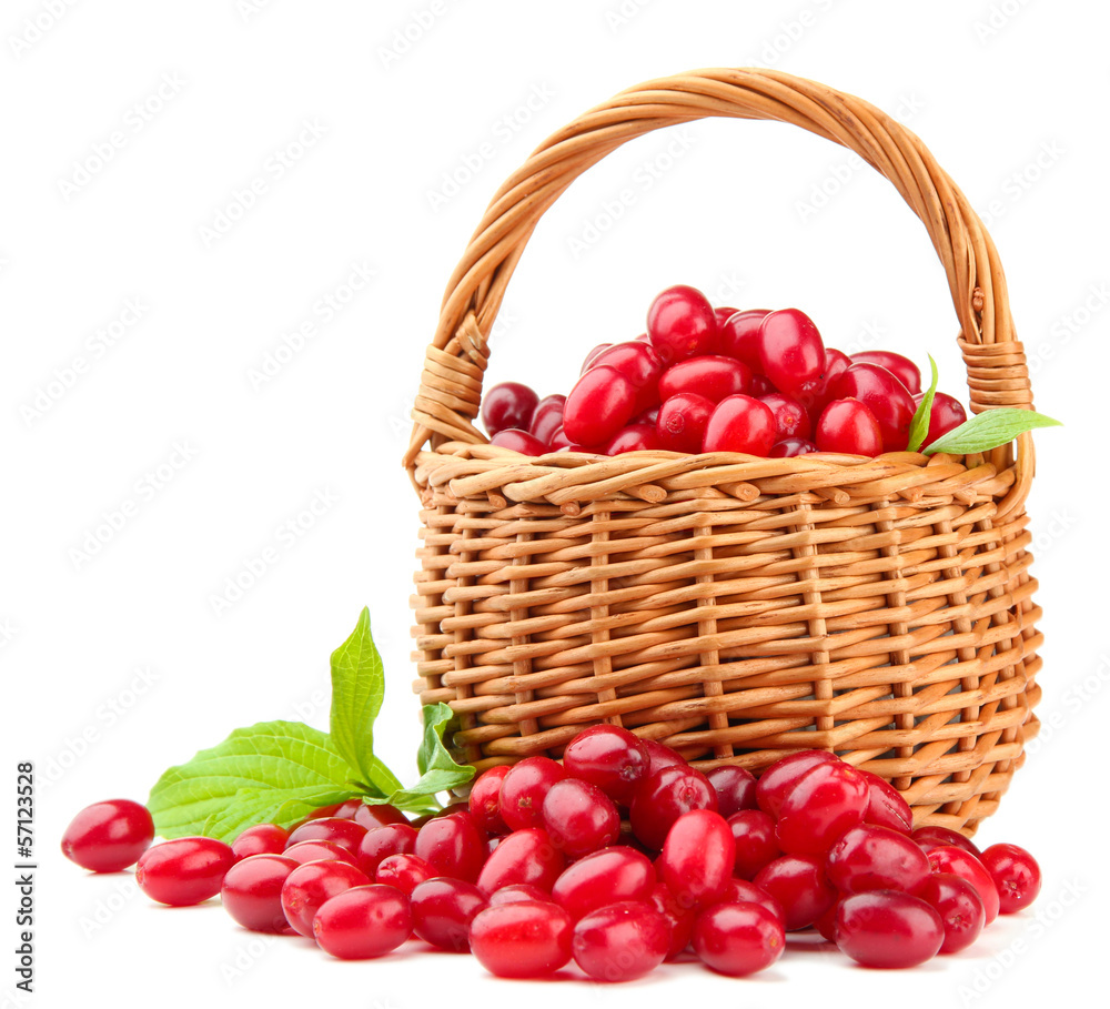 Fresh cornel berries in wicker basket, isolated on white