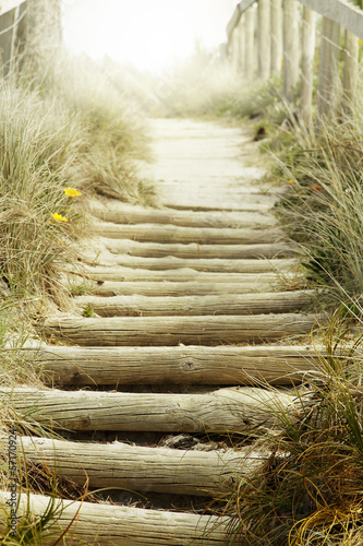 Naklejka ścienna Walkway