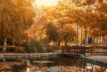 Wall Mural - Pond