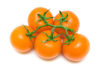 orange tomatoes in drops of water on a white background