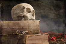 Old Skull On Old Book