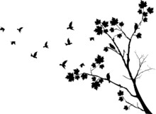 Autumn Tree Silhouette With Birds Flying