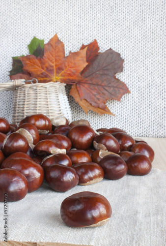 Obraz w ramie Horse chestnuts or conkers on the table, basket with autumn leav