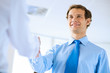 © adam121 - businessman shaking hands with a colleague