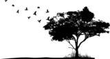 Fototapeta Pokój dzieciecy - tree silhouette with birds flying