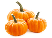 Pumpkins Isolated On White Background