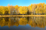 Fototapeta Mapy - Autumn landscape on lake