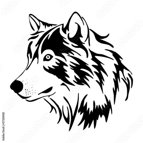 Naklejka ścienna wolf head side vector