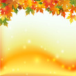 осенние цветные кленовые листья на цветном фоне