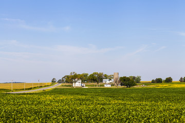 Wall Mural - American Farmland With Blue Cloudy Sky