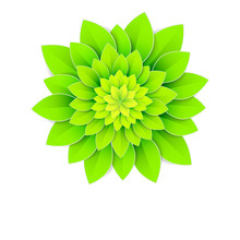 Background With Green Flower.