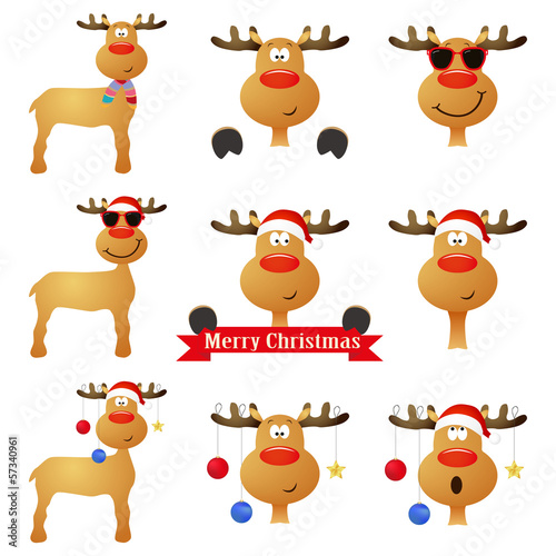 Lustige Bilder Rentier