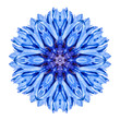 Blue Cornflower Mandala Flower Kaleidoscope Isolated on White